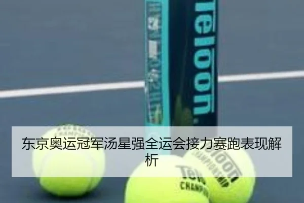东京奥运冠军汤星强全运会接力赛跑表现解析
